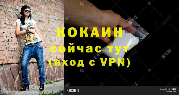 тгк Алзамай