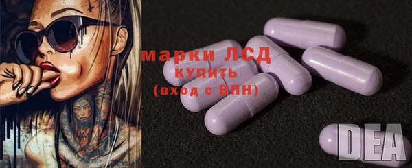 тгк Алзамай