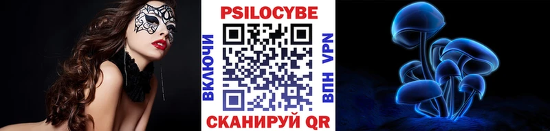 блэк спрут ТОР  Старый Оскол  Галлюциногенные грибы Psilocybine cubensis 